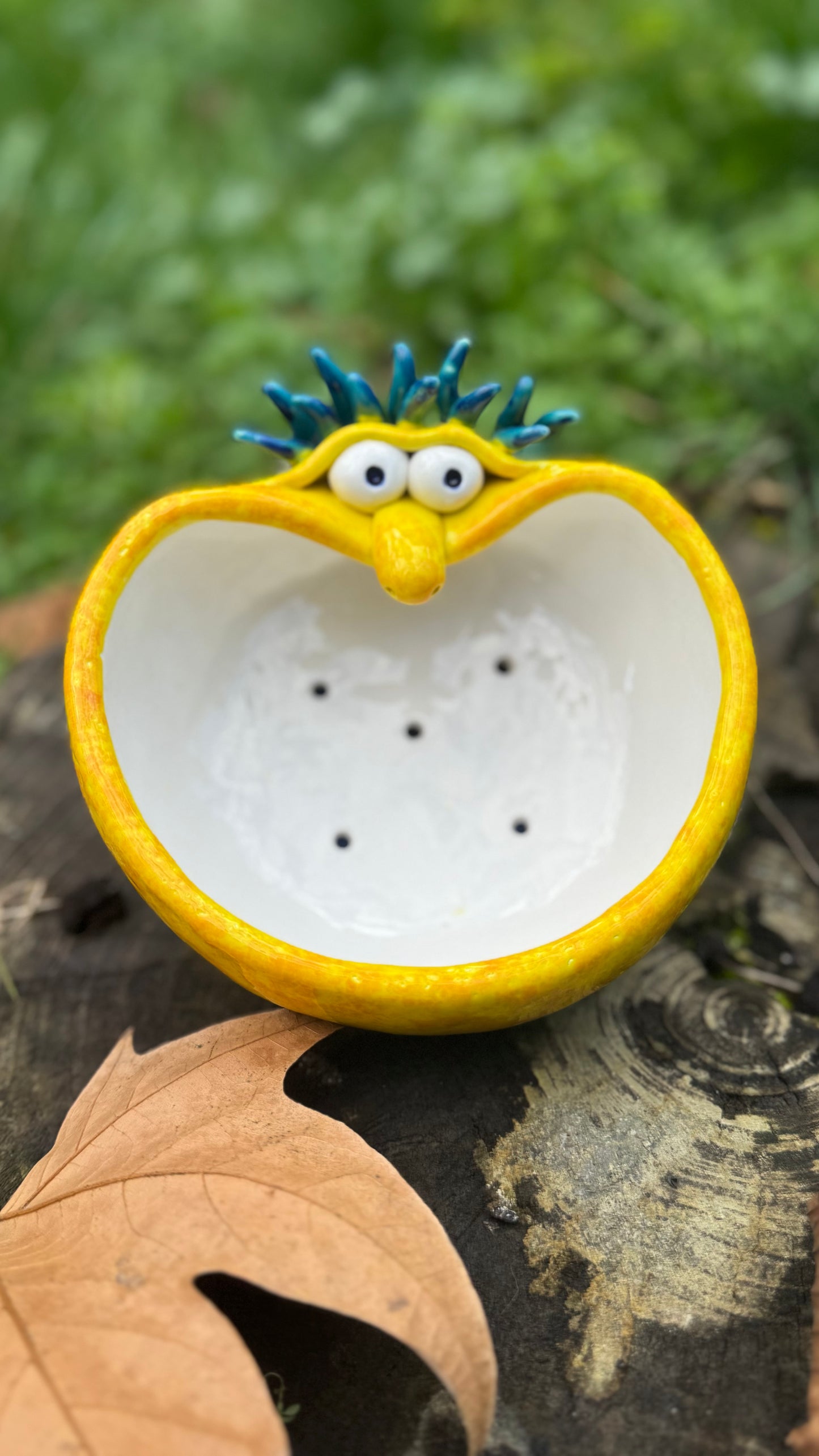 Maceta Pico Loco