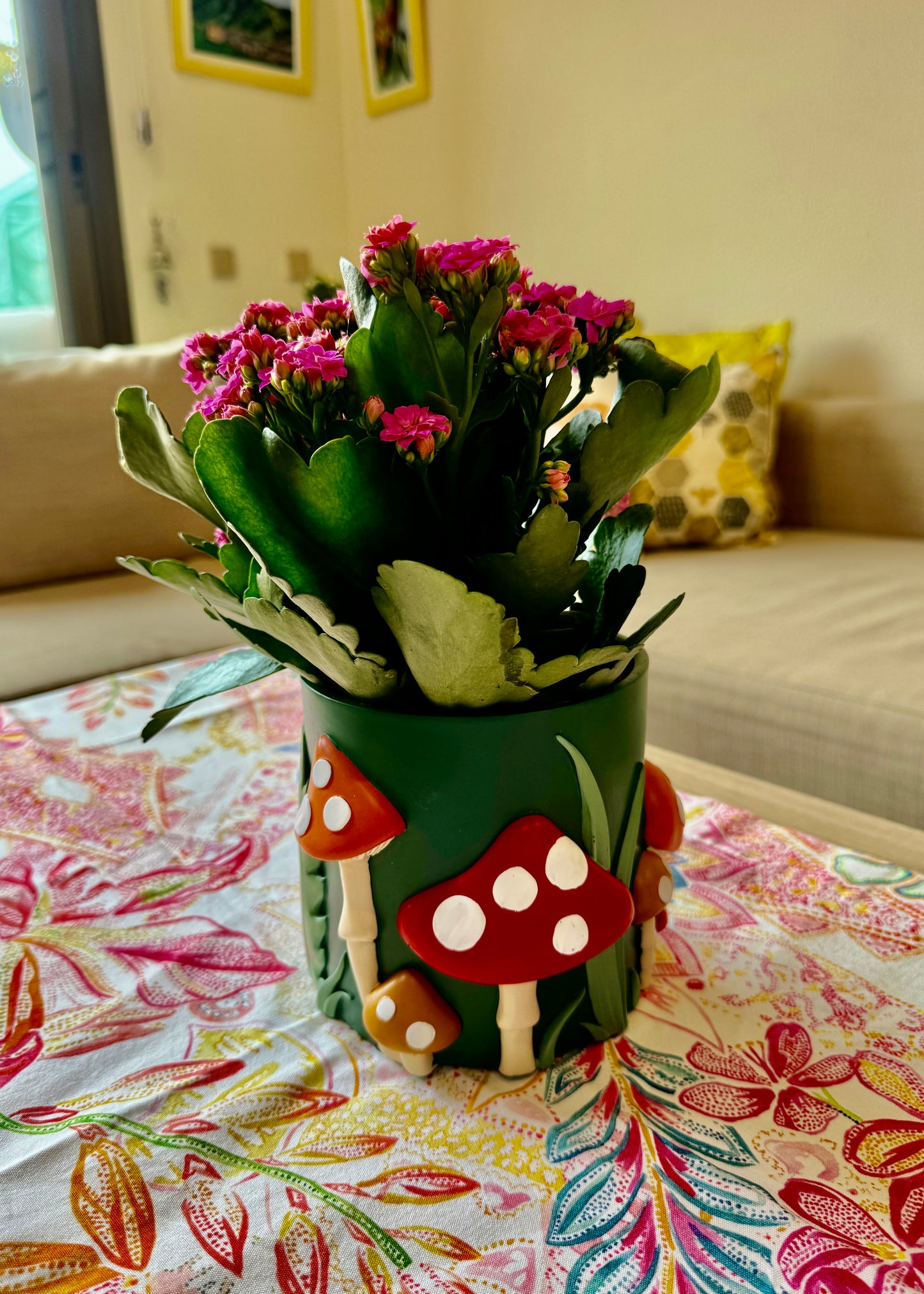 Kalanchoe Blossfeldiama (flores rosadas)