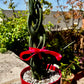 Sansevieria Cylindrica Trenzada