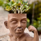 Crassula arborescens