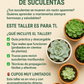 🌵 Taller "Online" Cuidado y Mantenimiento de Suculentas 🌵