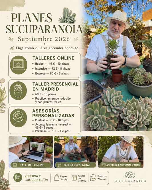 TALLERES Y ASESORIAS SUCUPARANOIA- SEPTIEMBRE 2026