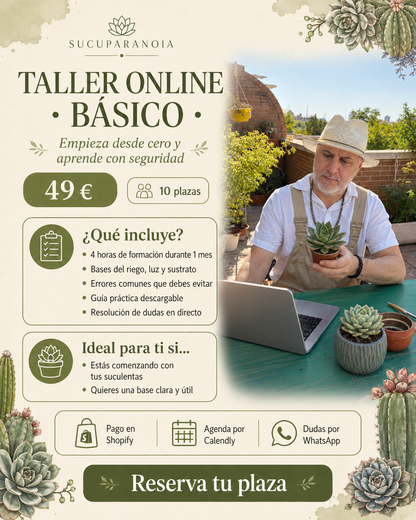 TALLERES Y ASESORIAS SUCUPARANOIA- SEPTIEMBRE 2026